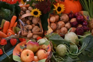 Weltgeschichte im Gemüsebeet